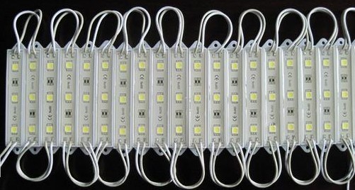 食人魚(yú)模組