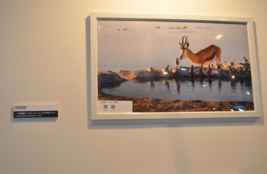 愛普生專用照片紙輸出作品展