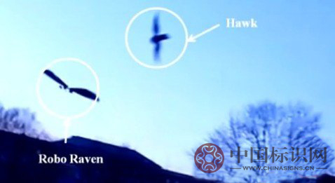 翻轉(zhuǎn)3D打印“打”出可潛水