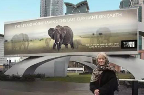 戶外數(shù)字廣告播宣傳片，促動(dòng)物保護(hù)