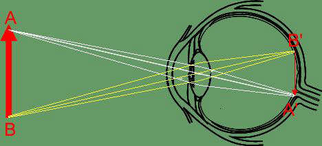 顯示屏藍(lán)光健康評價及測量方法探討