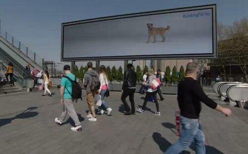 讓廣告牌里的狗狗跟著你走