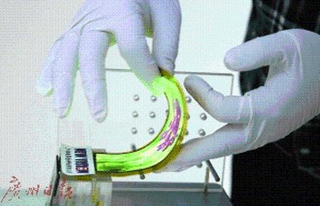打破國外壟斷 中國造出全彩色柔性AMOLED顯示屏