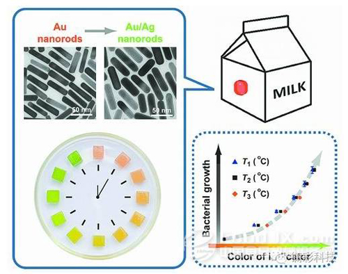 SAVE FOOD中國與包裝大咖攜手開啟食品創(chuàng)新包裝的新篇章