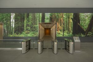超現(xiàn)實景象：LED視頻墻創(chuàng)意改善辦公環(huán)境