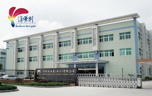 洋紫荊油墨邀您參加2017CSGIA上海展(展位：N2430)