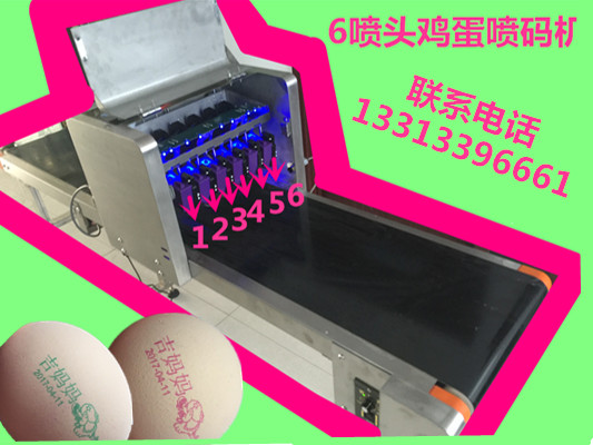 科力普KP-19型六噴頭雞蛋噴碼機(jī)13313396661
