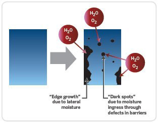柔性顯示才是顯示行業(yè)未來趨勢(shì)