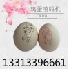 配合雞蛋分級(jí)機(jī)使用的雞蛋噴碼機(jī)，新疆雞蛋噴墨機(jī)