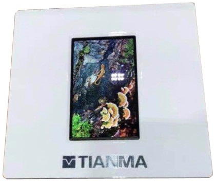 天馬微電子攜全新產(chǎn)品重磅亮相DISPLAY CHINA 2019