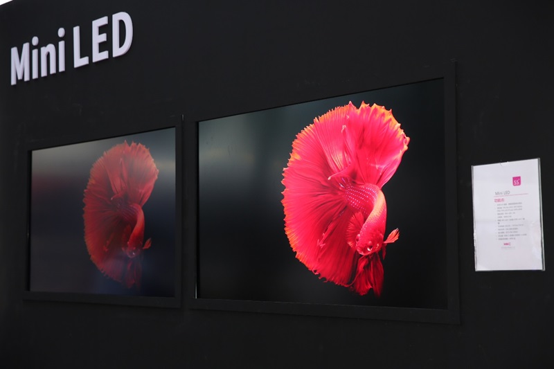 引領(lǐng)未來顯示新紀元，2024深圳國際全觸與顯示展柔性顯示技術(shù)展區(qū)看點精彩紛呈