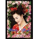 供應(yīng)高光銀雕布，絲絹布