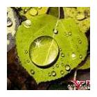 A3高光化纖油畫布   A3戶內(nèi)油畫布   A3化纖油畫布