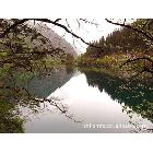 供應(yīng)藝術(shù)布，白畫布，噴繪寫真用布，油畫布工廠