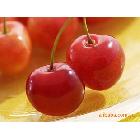 生產(chǎn)廠家供應(yīng)化纖寫(xiě)真油畫(huà)布（量大優(yōu)惠）