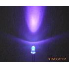 5MM紫光LED 紫外線led