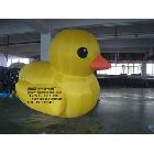 小黃鴨固定氣模 充氣模型小黃鴨 小黃鴨氣球