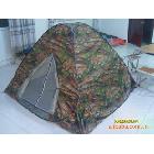 批發(fā)自動（圓鋼絲）帳篷旅游帳篷野營帳篷