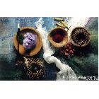 廠家直銷水晶220g白底寫真相紙 ，只需4.9元/平方 25/36/42/50*30