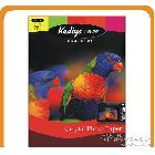 【科帝亞】高光防水相紙(200g) photo paper 水晶照片相紙