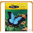 廠家直銷科帝亞120克經(jīng)濟型相紙A4 防水相紙