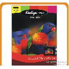 科帝亞160克經(jīng)濟(jì)型相紙A4  照片紙 數(shù)碼相紙