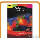 樂凱240克金背印防水高光相紙 相片紙 照片紙