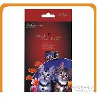 廠家220RC高光相紙（高木漿原紙生產(chǎn)，進(jìn)口涂層配方）