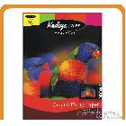 【kediya】科帝亞水晶相紙（230g）photo paper  背膠相紙