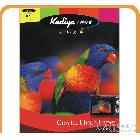 【科帝亞】原裝250克雙面噴墨名片紙A4/50張  高光相紙