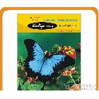 粘力加強(qiáng)型150克高光防水背膠相紙  相片紙