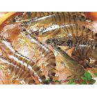 弱溶劑高光相紙220  熱銷