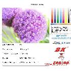 供應(yīng)高光相紙廣告材料/寫真材料/噴繪材料