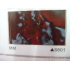 供應家之寶【家之寶直銷】自帶膠PVC裝飾木