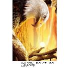 供應戶外噴繪背膠 外打光燈布