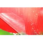 供應(yīng)相之寶2801-2816【相之寶直銷】特價大量冷裱膜pv