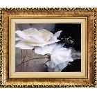 供應(yīng)美廬家居水晶推拉電表盒