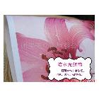 供應(yīng)生產(chǎn)供應(yīng)弱溶劑墻紙 弱溶劑無紡紙材料 弱溶劑無縫壁布 壁畫基材