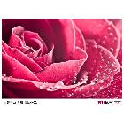 供應機場專用阻燃內(nèi)打燈布噴繪寫真