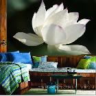 供應利特爾銀色無妨紙壁畫材料，壁畫數碼材料批發(fā)