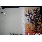 WPV-T020戶外細(xì)紋 弱溶劑細(xì)格墻紙   1.07*30m