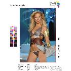 抗靜電光面弱溶劑X展架專用PVC    0.914/1.07/1.27/1.52*30