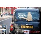 供應(yīng)透明車身貼