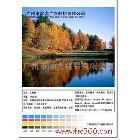 供應(yīng)車身貼