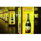 供應(yīng)燈片 led燈片紫燈片