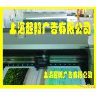 供應上海起陽廣告QY0214上海燈片戶內(nèi)寫真、燈箱