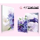 供應(yīng)上海雅賞品牌無框畫