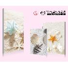 供應(yīng)雅賞1.2CM中板雅賞高品質(zhì)無框畫背景墻無框畫