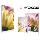 供應(yīng)雅賞客廳三聯(lián)無(wú)框裝飾畫(huà)