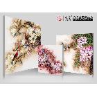 供應(yīng)雅賞品牌無框畫--始終堅(jiān)持高品質(zhì) 無框畫廠家